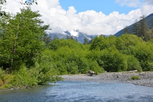 Snow-capped mountains, thick monster forests and glacier-fed rivers, all in a day's play