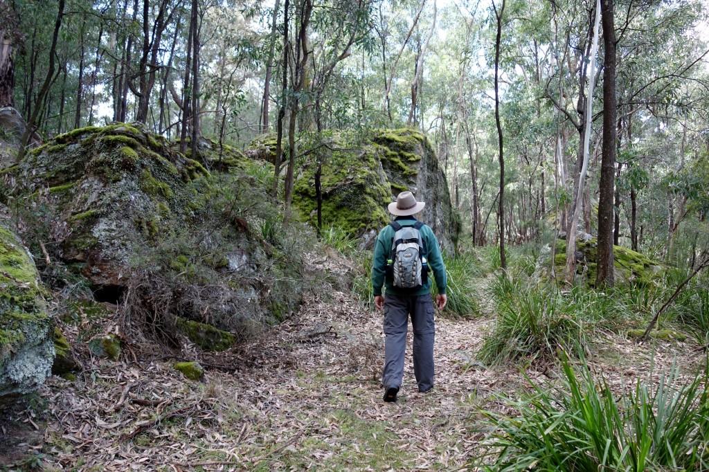 We did more great exploring high on the slope above the Wolgan River