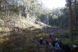 The start of the walk took us through some beautiful terrain and warmed us up for what was to come