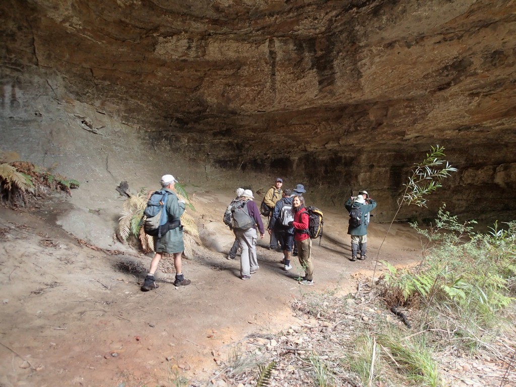 One of the large caves we found under the ridge of the gully walls