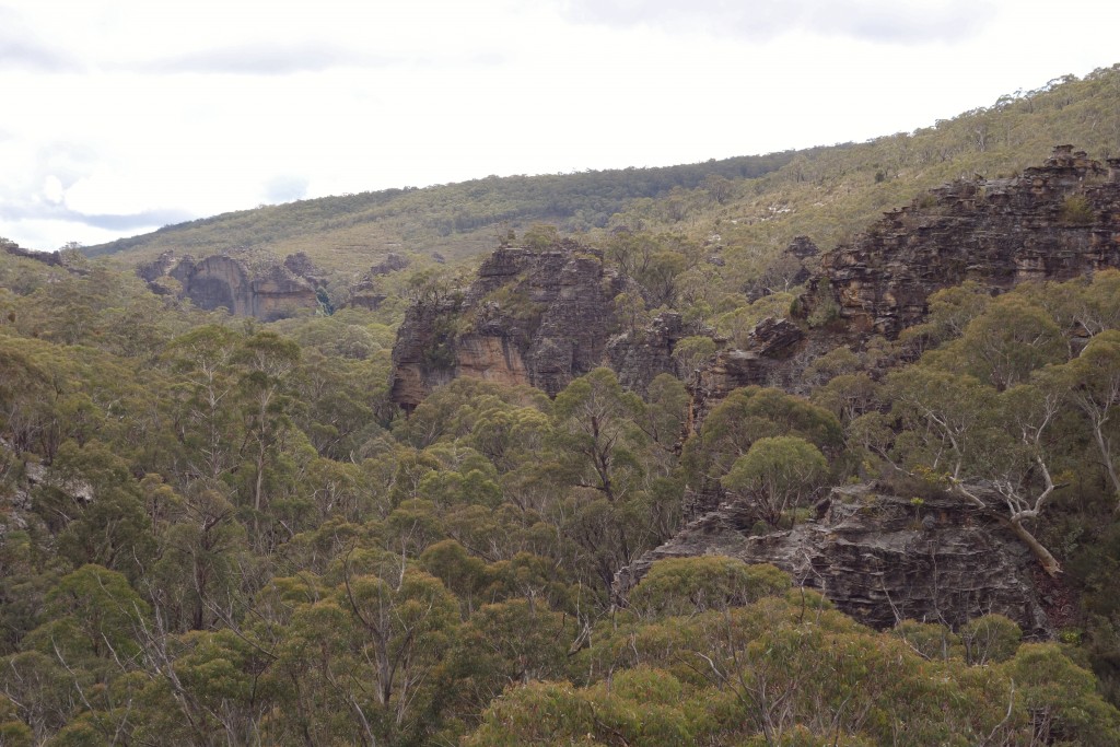 Great views from our spot for morning tea on the top of a pagoda 