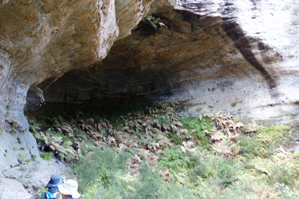 Another huge cave, this one steeper and full of ferns