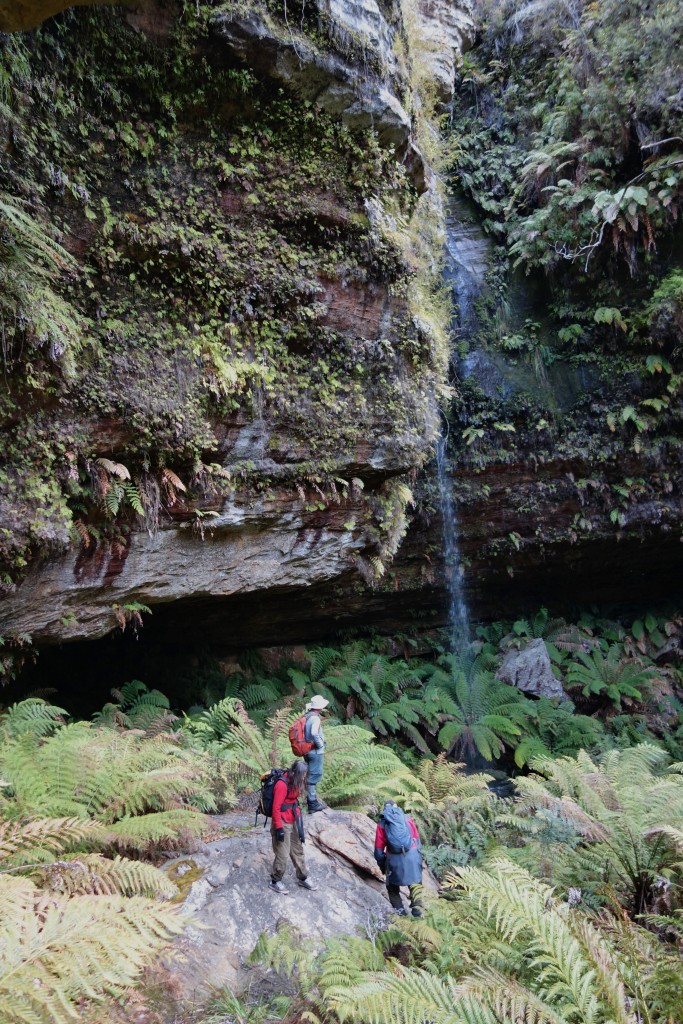 We finally made it to the base of the falls in a secluded corner of the long deep gully