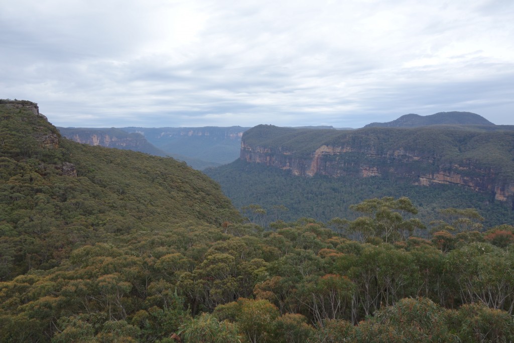 Room with a view - the Grose Valley stretches out below us