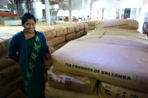 Our tour guide taking us through the compact tea factory - here is the finished product ready to be shipped out