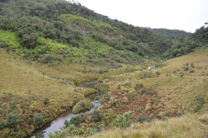 A beautiful walk in the mist with creeks winding through the hills