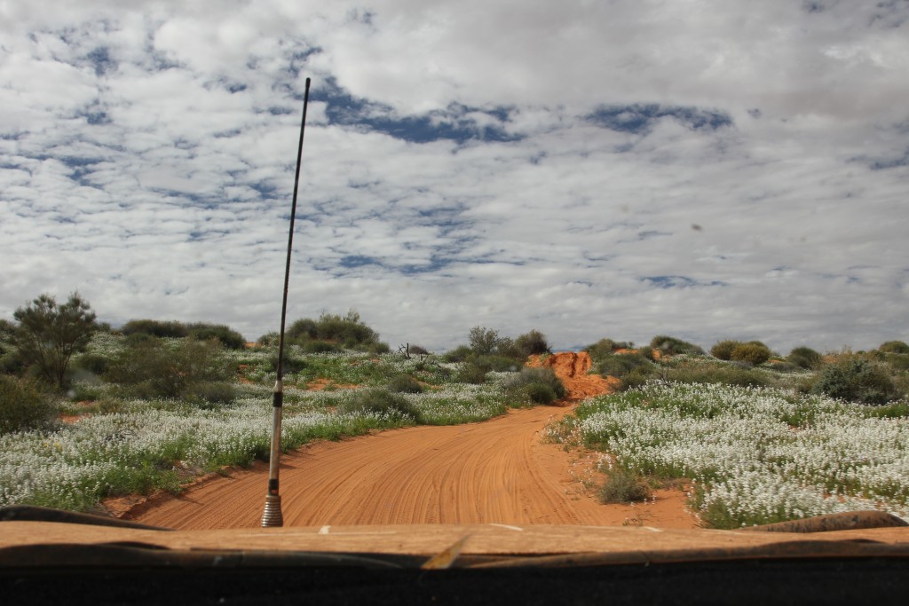 And one more for good measure - we loved this new twist to the desert. Photo: Jessica