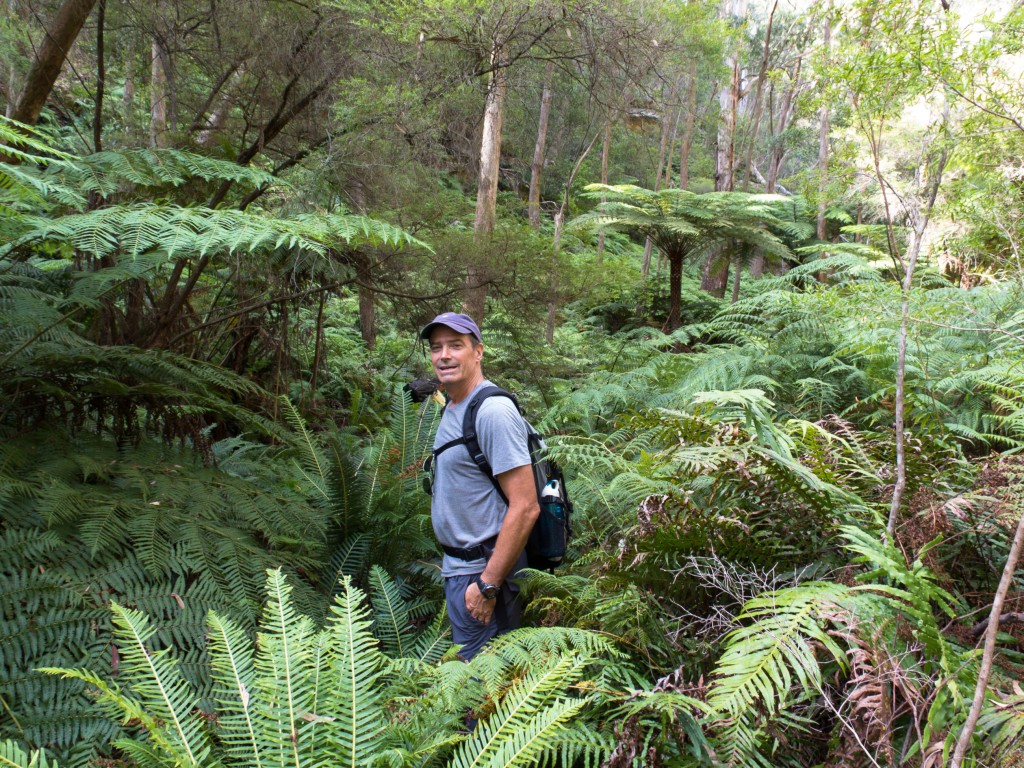 Not lost, just looking, in a deep gully above the Wolgan Valley