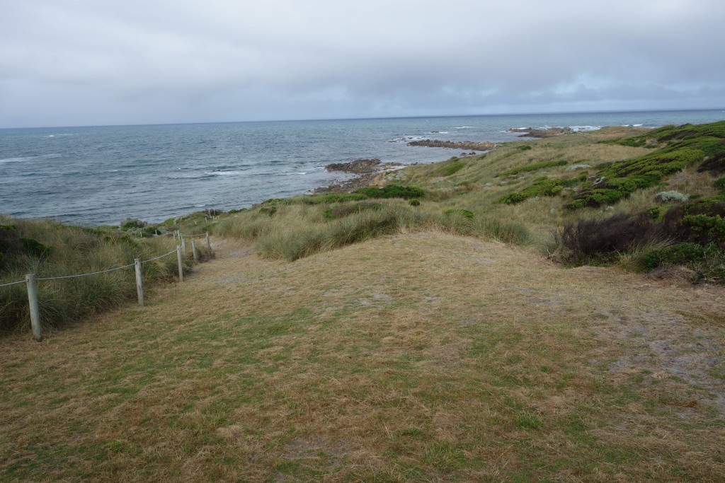 The view from the front deck of our delightful beach house