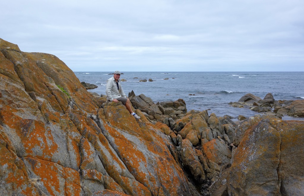 Julie and I went on a couple of walks along the beach with its colourful rocks and crashing surf