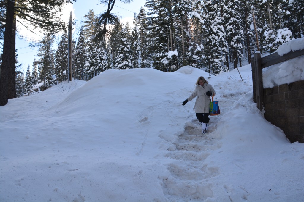 because of the record snow falls this year even getting down to the family cabin is difficult