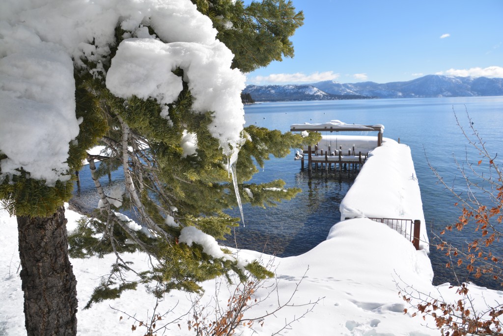 Beautiful scenes when pine trees, snow and crystal blue lake all meet