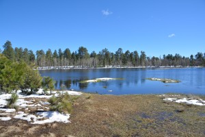 The drive to Bruce and Trish's home was beautiful - high mountain lakes and melting snow