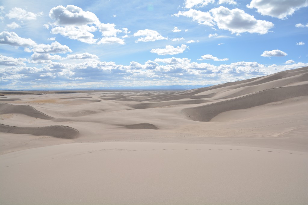 The clouds seemed to be almost artificial as a background to these dunes