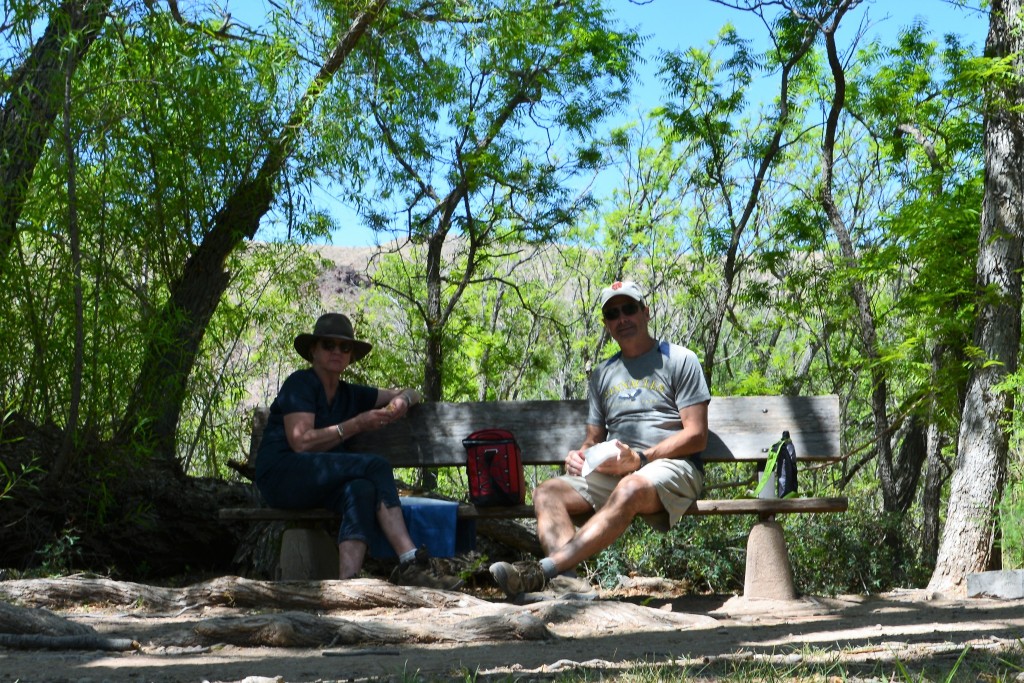 This is better - a rare shady spot near a spring for a picnic lunch