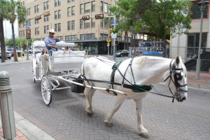 Many different forms of travel in San Antonio - we didn't use this one