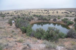 Tramp found a much warmer spot to camp in the desert near Rosswell