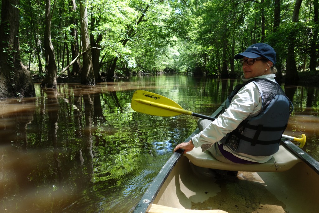 Julie leading us down the creek with swamp trees all around