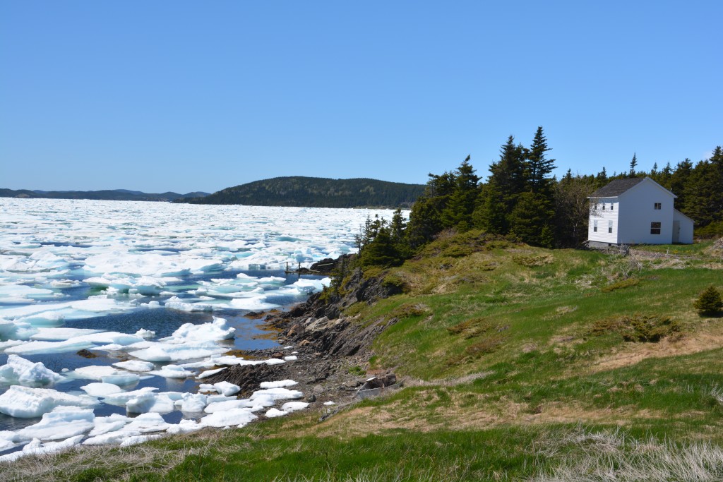 Another beautiful iceberg moment - imagine living here and having this happen in your backyard every year