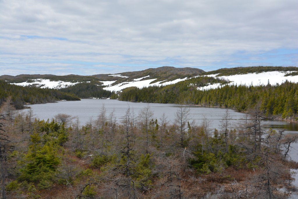 A last great shot of this beautiful land. We need to come back and spent much more time here, it is truly one of the most spectacular places we've been