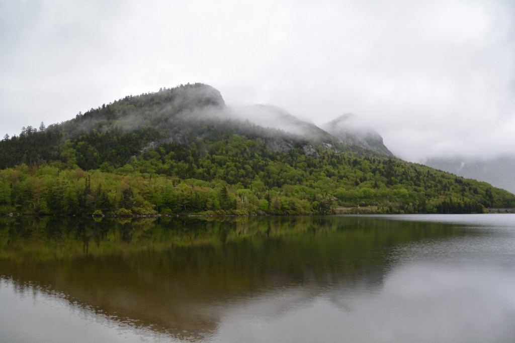 We didn't have the best weather at Falconia Notch but what we could see was stunning