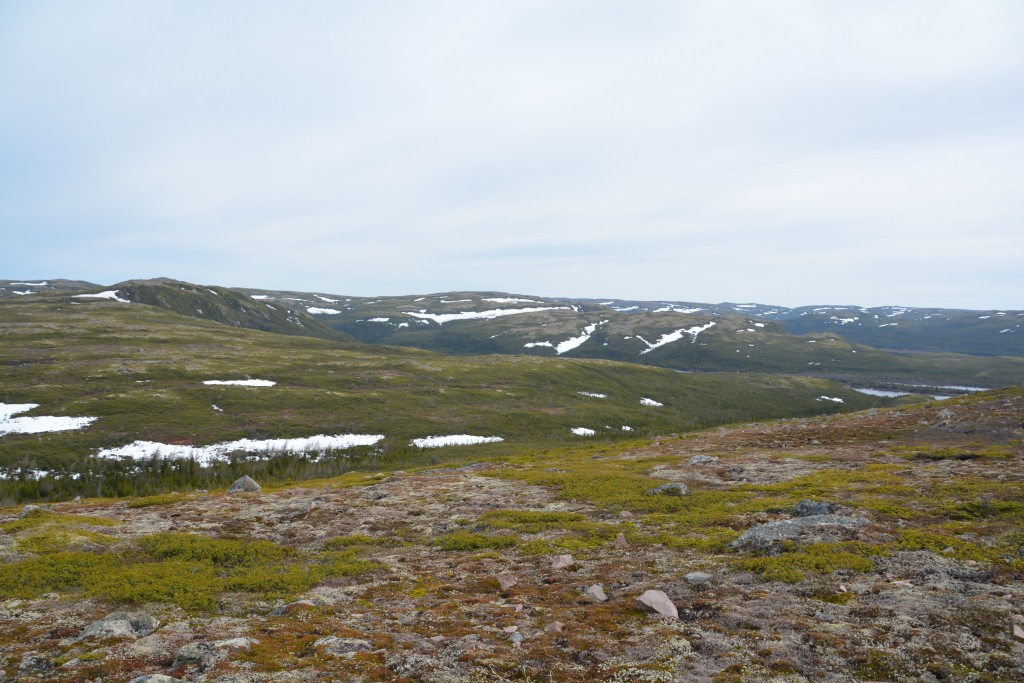 We couldn't get enough of this uninhabited and remote territory