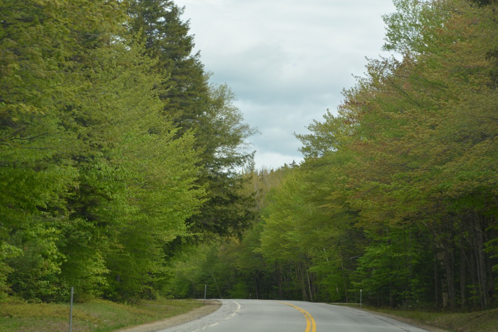 The Kanc Highway took us through very scenic areas of the mountains