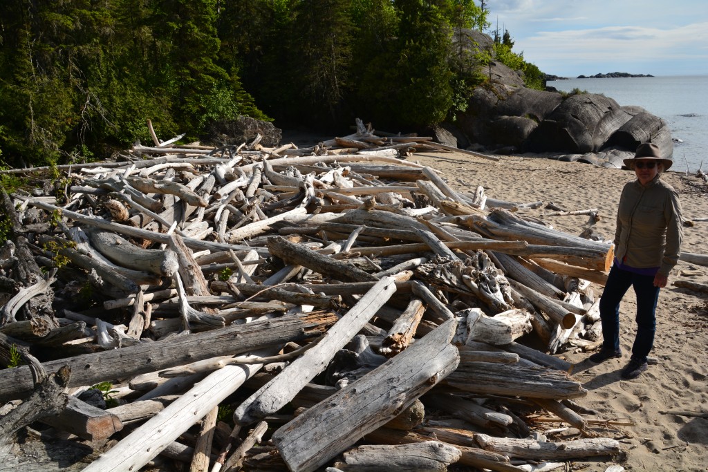 We were searching for firewood and Julie hit the jackpot on the shores of Lake Superior