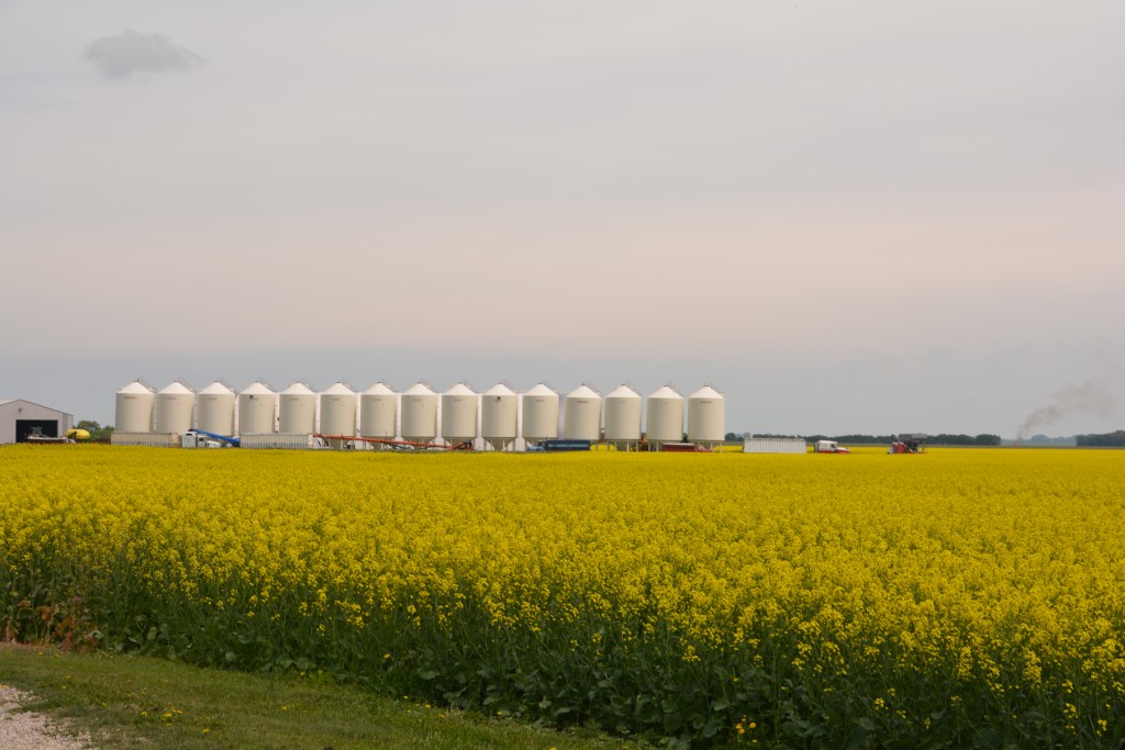 And silos! We saw old ones, new ones, on their own or in bunches, tall, short, white, silver, silos everywhere