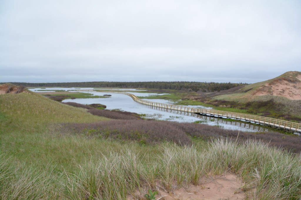 So you have ocean, beach,sand dunes, lake, then wild bushland