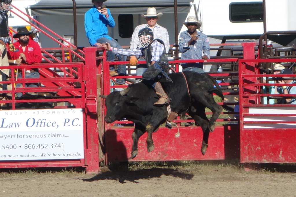 The rodeo was a hoot and the highlight was the bull riding - these crazy guys have to hold on for eight seconds - which none of them did