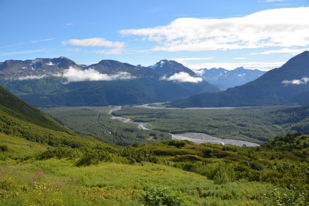 The view down into the valley made the steep walk up to Marmot Meadows worth the effort