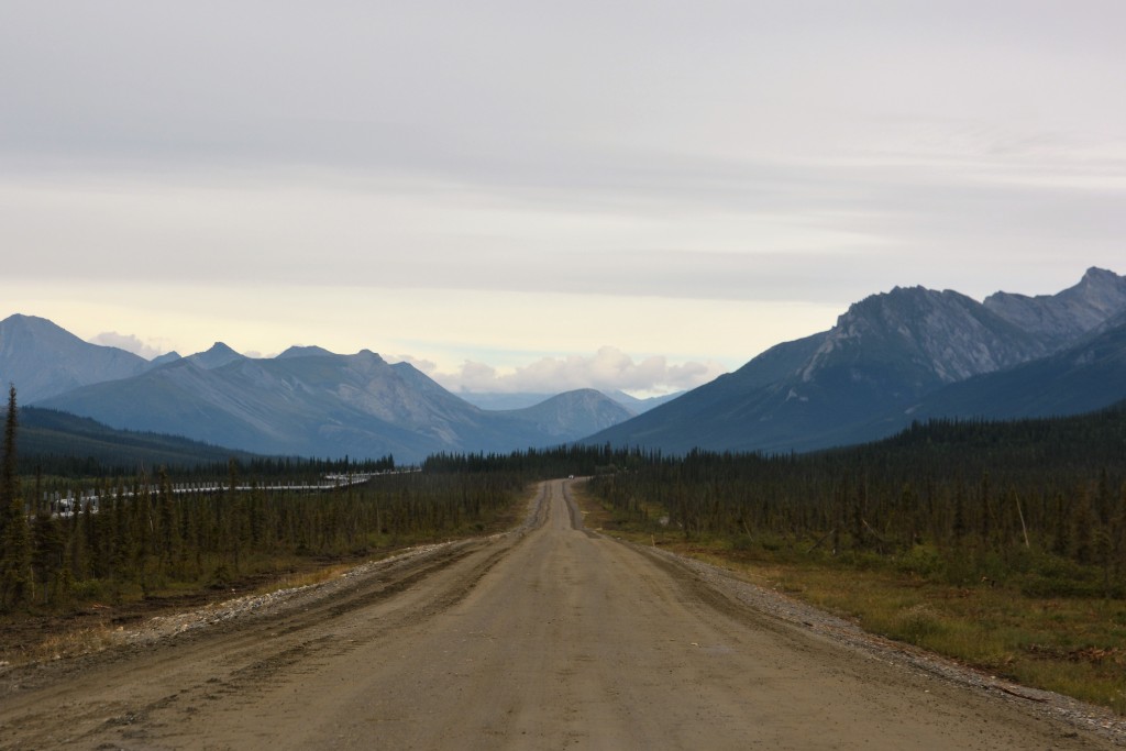 The landscape, quality of the road, weather and traffic all changed north of Coldfoot