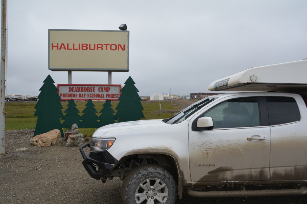 People of Deadhorse have a sense of humour - plywood trees make up their national forest