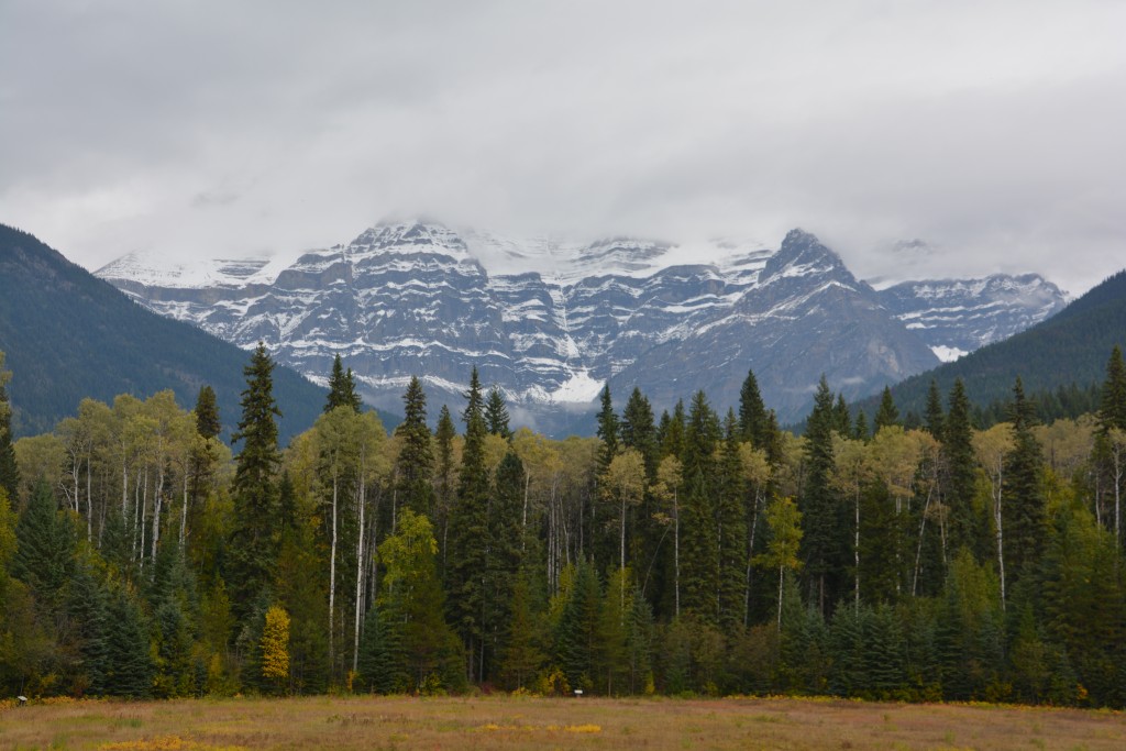 This is Mt. Robson, the highest mountain in the Canadian Rockies, but unfortunately we could only see the lower third. The photos of it on a clear day are astounding.