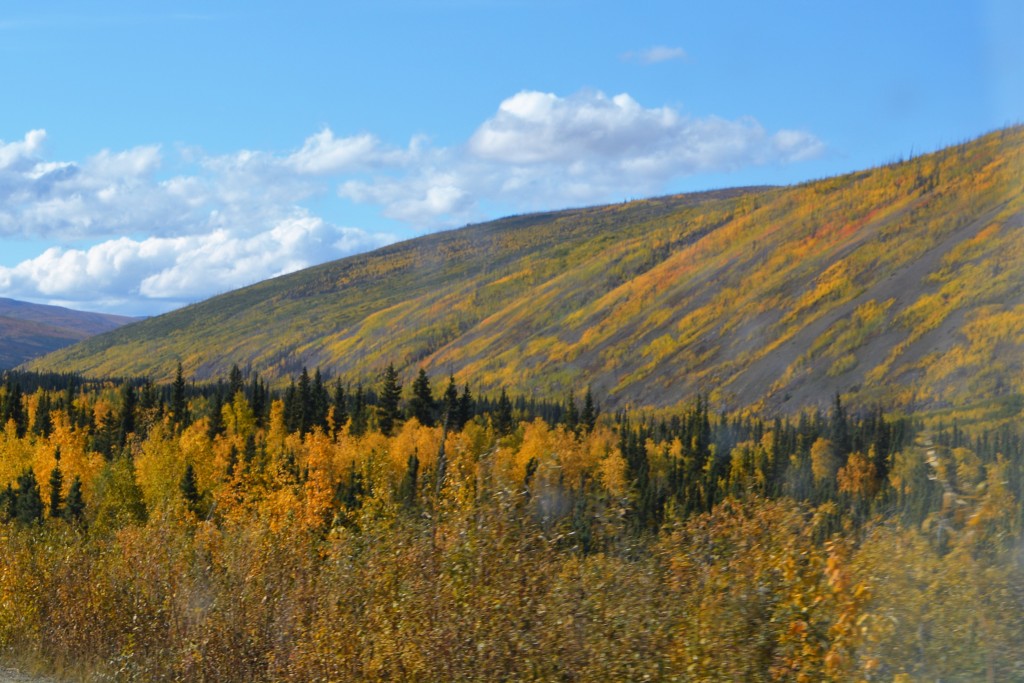 Rounding every turn and over every ridge opened up more stunning autumn views