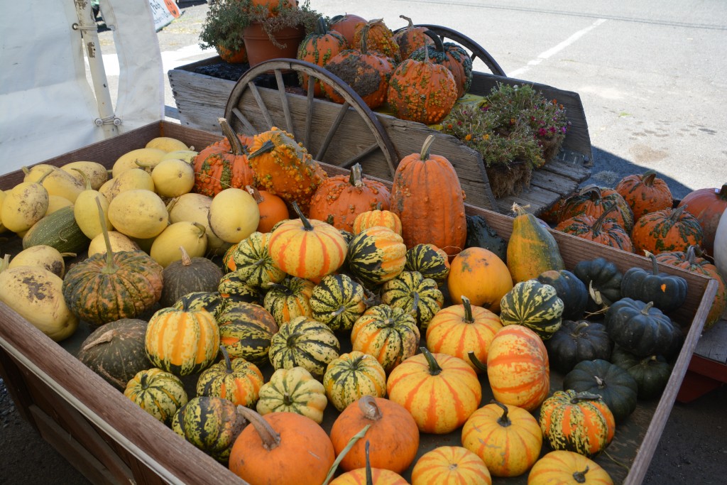 Idaho means potatoes but all we could find is pumpkins...a sure sign Halloween is coming