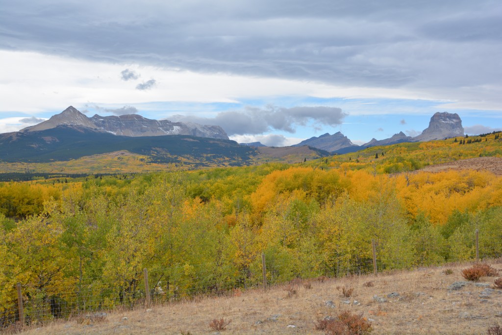 We've enjoyed the fall colours with the dramatic backgrounds...and they just keep coming